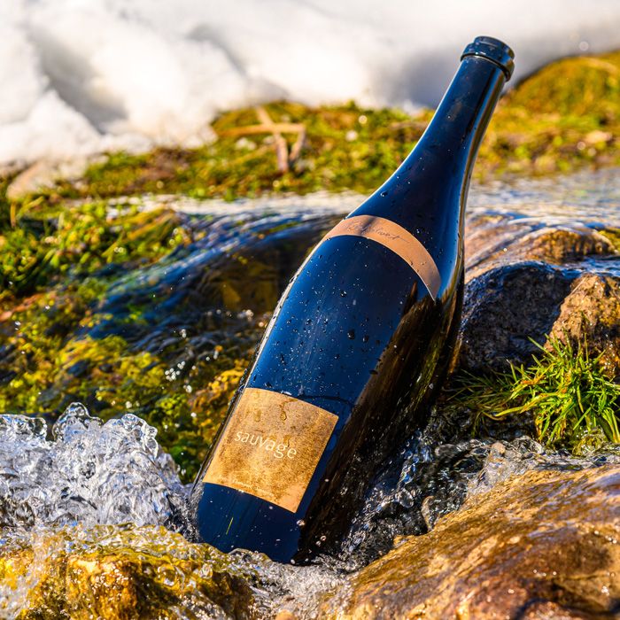 Совиньон блан 1 | BNK Wines Совиньон блан 1