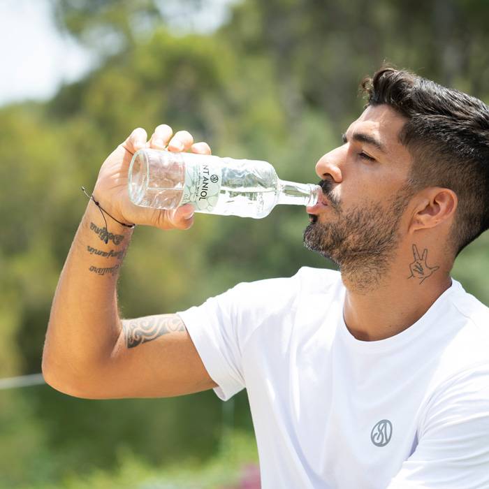 Минерална вода Rocks Natural 750ml от BNKWines.bg