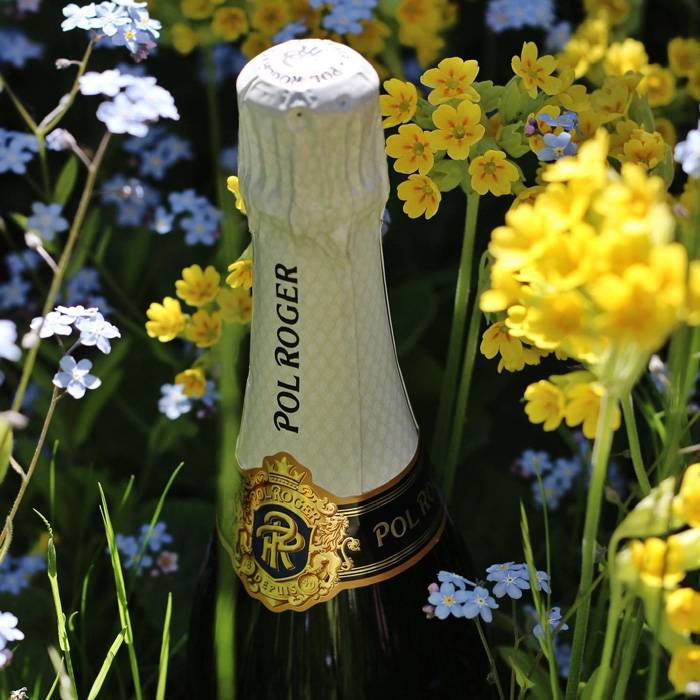 Brut Réserve - 750ml от BNKWines.bg