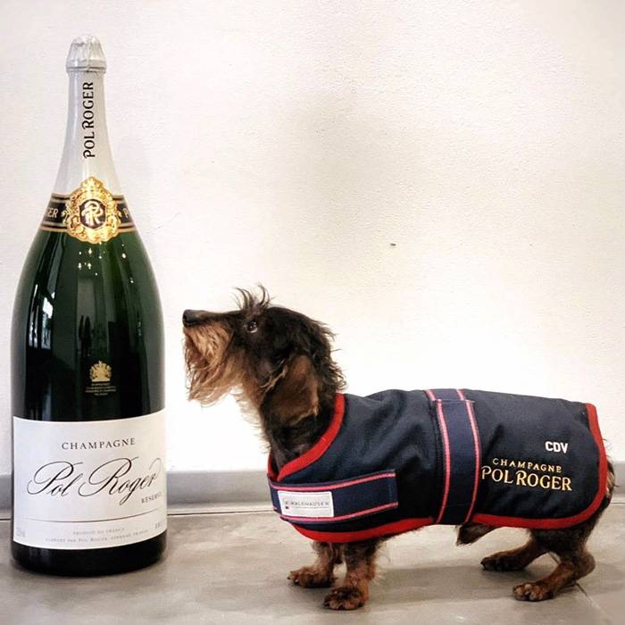 Brut Réserve - Jeroboam 3.0l от BNKWines.bg