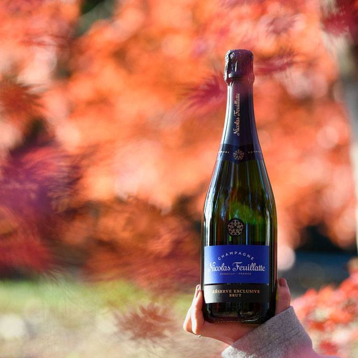 Nicolas Feuillatte Réserve Exclusive Brut - 750ml от BNKWines.bg